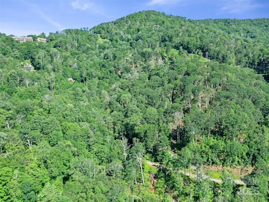 0 Chestnut Ln unit Lot 84, Mars Hill, NC 28754 - photo 2