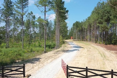 0 Huffman Rd unit 24251649, Sunbright, TN 37872 - photo 3