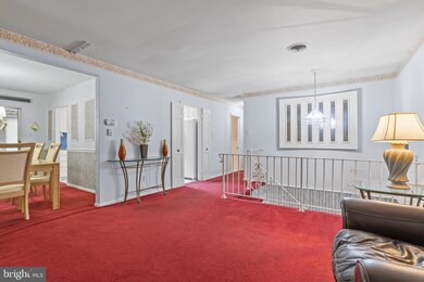 915 Ash Rd, Wallingford, PA 19086 - photo 5