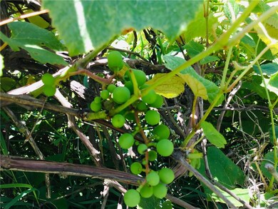 695 SW 860th Rd, Chilhowee, MO 64733 - photo 7