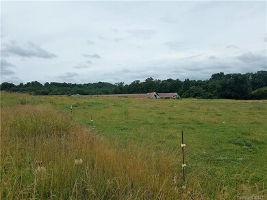 144 Arrington Farm Ln, Statesville, NC 28625 - photo 2