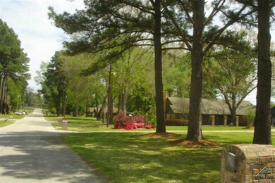 8668 Pleasant Hill Cir, Tyler, TX 75707 - photo 6