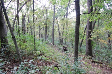 17.63 Acres Biglow Hill Rd, Avoca, WI 53506 - photo 6