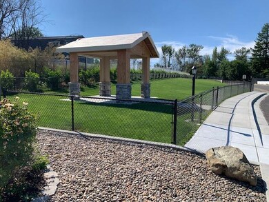New dog park