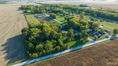 10970 Cordum Ave, Gillespie, IL 62033 - photo 6