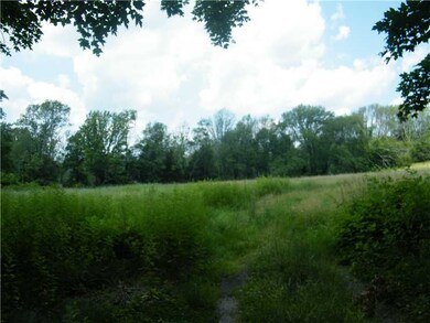 Yard/Garden.