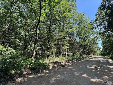 0 Maries 638 Rd unit MIS25067458, Dixon, MO 65459 - photo 6