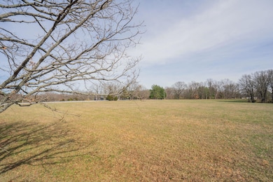 000 E State Highway Yy, Strafford, MO 65757 - photo 6