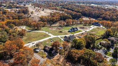 12259 Sunset Reserve Ct, Saint Louis, MO 63127 - photo 5