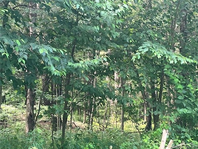 0 Mount Ross Rd, Pine Plains, NY 12567 - photo 4