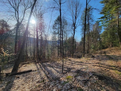 1890-A Bristol Rd, Monkton, VT 05443 - photo 2