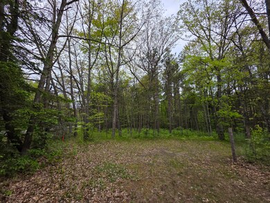 7470 Becker Rd, Manistee, MI 49660 - photo 3