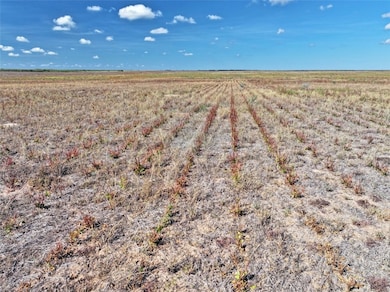 0 0 St unit 467803, Alice, TX 78332 - photo 7