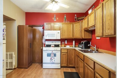 924 N Hudson St SE, Lowell, MI 49331 - photo 6