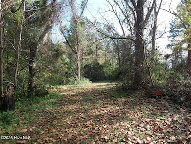 7682 Kershaw Rd, Arapahoe, NC 28510 - photo 3