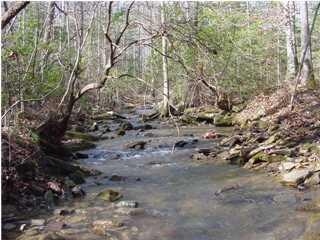 Bird Fork Creek