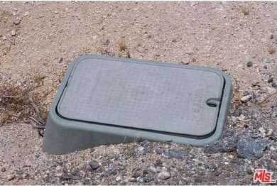 5316 Pearl Springs Ave, Twentynine Palms, CA 92277 - photo 4