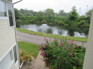 Pond