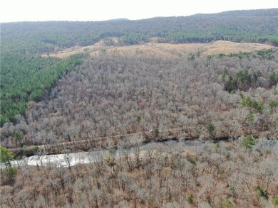 Overhead view of the property.  Build a cabin on t