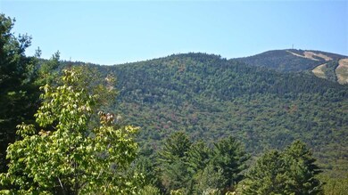 5 Golden Heights Rd unit 36.3, Waterville Valley, NH 03215 - photo 3