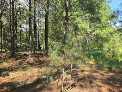 15 Dyches Rd, Grovetown, GA 30813 - photo 6