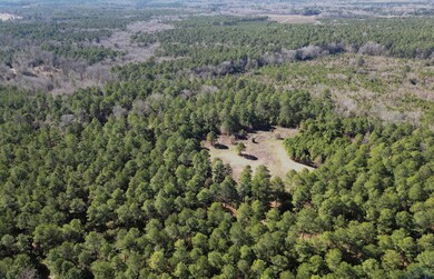 TBD County Road 3217, Atlanta, TX 75551 - photo 4