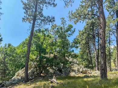Tract Campfire Three Meadows Rd unit Lakota Lakes, East Custer, SD 57751 - photo 2