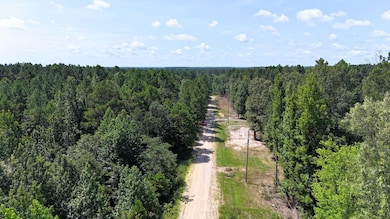 Sassafras Trail, White Hall, AR 71602 - photo 6