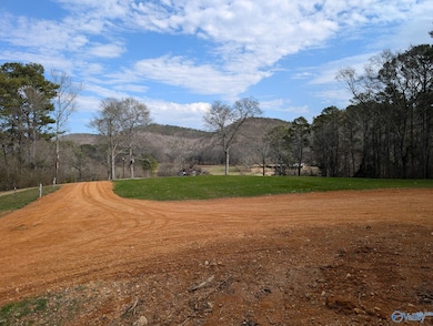 8355 Duck Springs Rd, Attalla, AL 35954 - photo 5