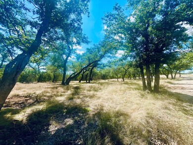 233 Towhead Valley Rd, Johnson City, TX 78636 - photo 7