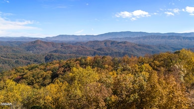 714 Shell Mountain Rd, Sevierville, TN 37876 - photo 2