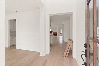 1007 Conservation Ln, Saint Simons Island, GA 31522 - photo 3