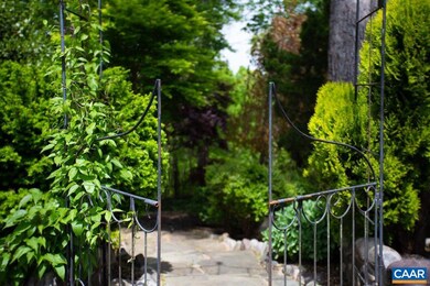 3198 Wallingford Ln, Keswick, VA 22947 - photo 6