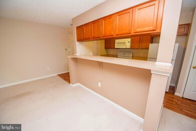 6310 Bayberry Ct unit 1010, Elkridge, MD 21075 - photo 4