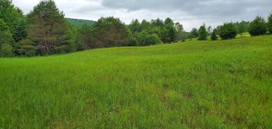 160 Bear Ridge Rd unit 2, Burke, VT 05871 - photo 6