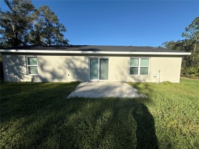 18 Malauka Radial Terrace, Ocklawaha, FL 32179 - photo 4