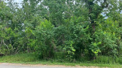 0 County Road 429, Brazoria, TX 77422 - photo 4