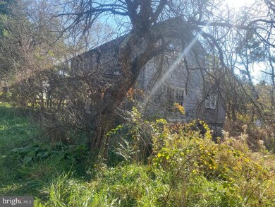 47 Bubb Ln, Bentonville, VA 22610 - photo 4