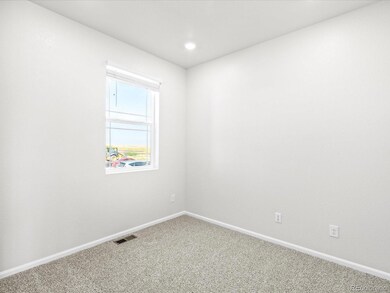 9120 Pitkin St, Commerce City, CO 80022 - photo 6