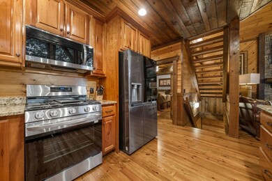 518 Toccoa River Ln, Mineral Bluff, GA 30559 - photo 6