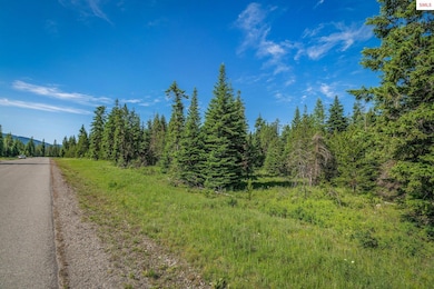 Lot 10 E Riley Loop, Athol, ID 83801 - photo 4