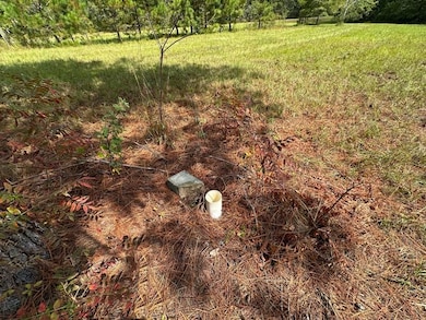 0 Gay Rd, Keysville, GA 30816 - photo 5