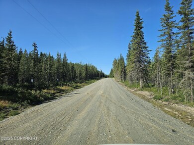 L9 Tolum Rd, Cohoe, AK 99568 - photo 6