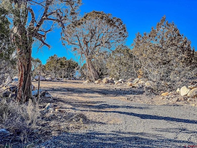 15369 2525 Rd, Cedaredge, CO 81413 - photo 4