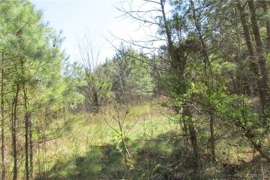 16615 Templeton Rd, Disputanta, VA 23842 - photo 5