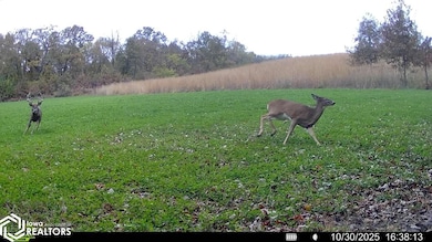 0 560th Ave, Hiteman, IA 52531 - photo 6