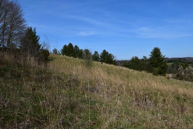 DSC_0054 (800x533)
