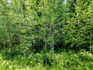 Lot 13 Sanctuary Rd, Tomahawk, WI 54487 - photo 2