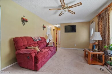 8291 State Route 88, Ravenna, OH 44266 - photo 6