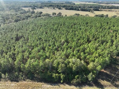 2716 Fryer Rd, Blakely, GA 39823 - photo 2